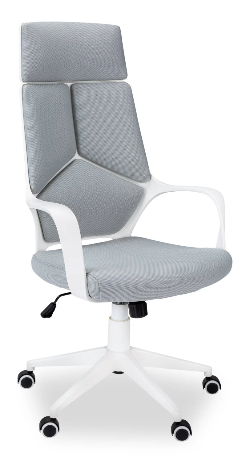 Hayes 25" Executive Office Chair - White & Grey