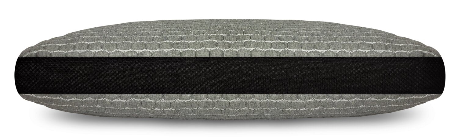 Masterguard? Charcoal Tencel? Queen Pillow