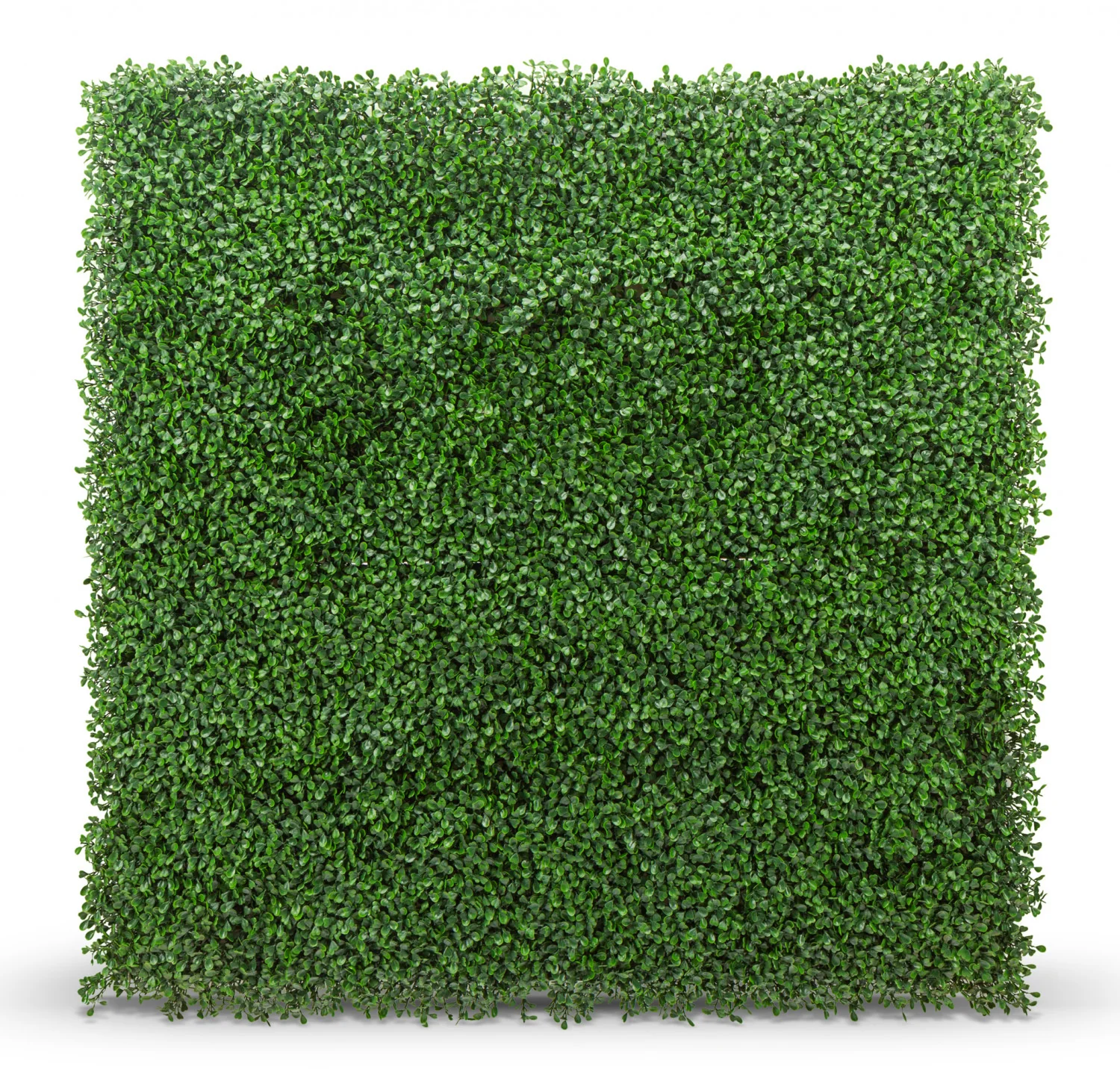 Artificial Boxwood 20"x 20" Foliage Panel 4 Pieces