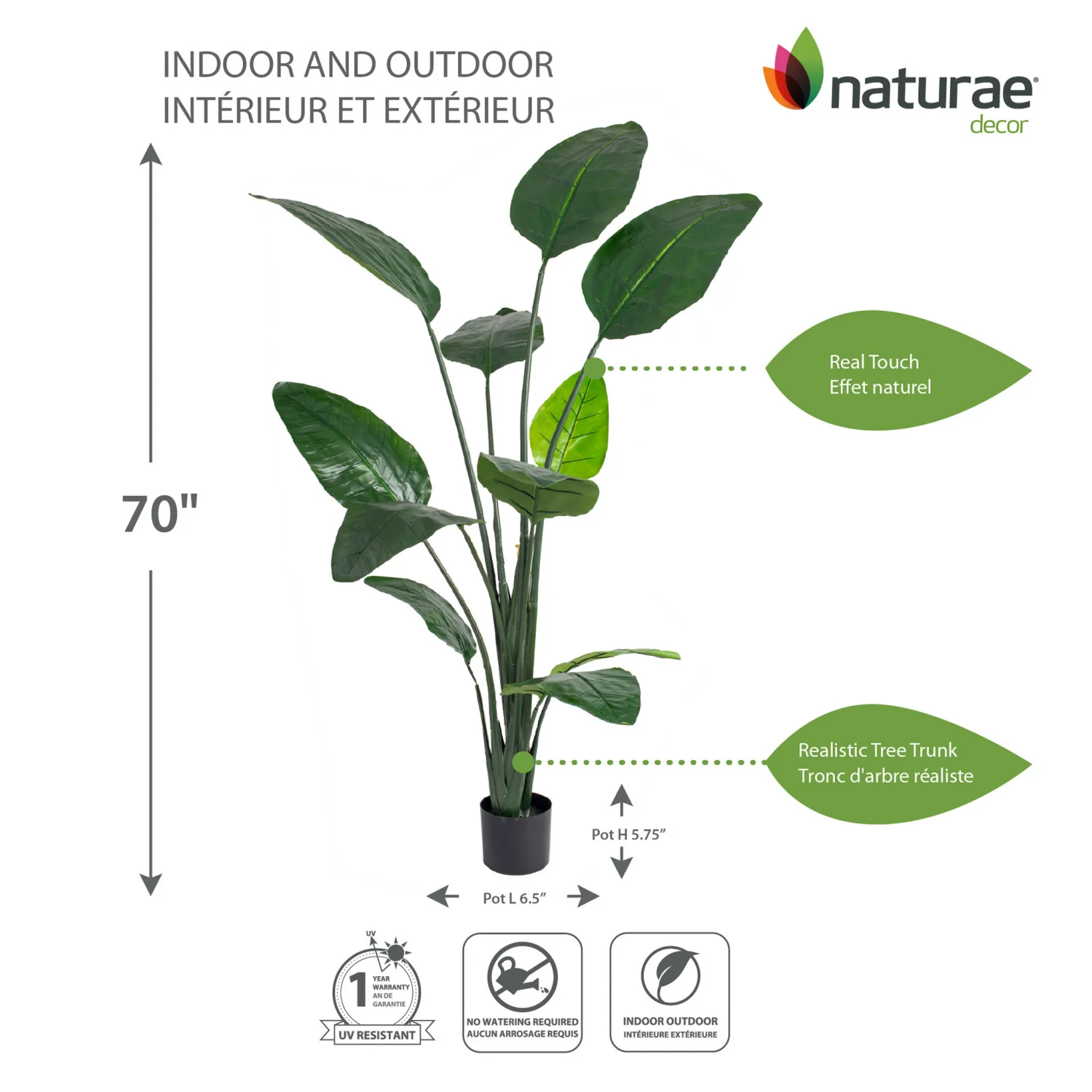 Artificial 70" Bird Of Paradise Indoor & Outdoor In Black Pot