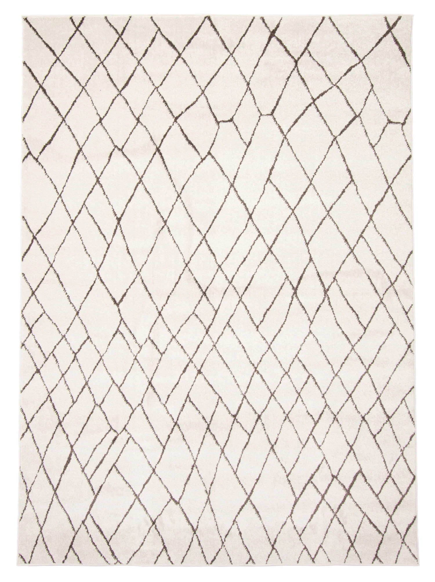 Anas Ivory Area Rug - 5'3" x 7'3"